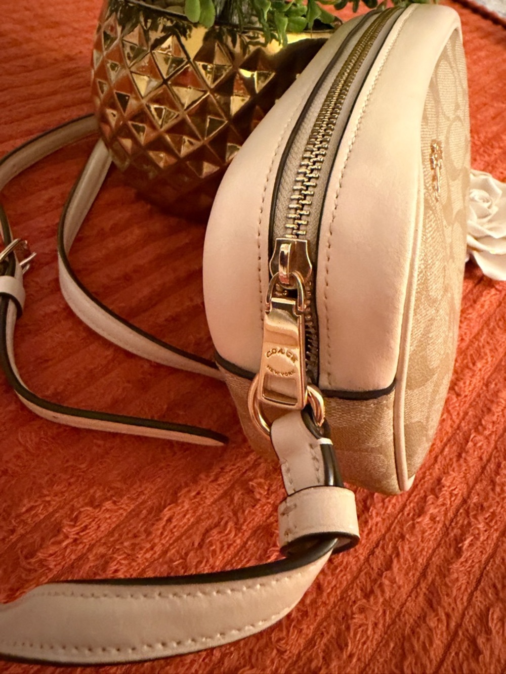 Coach Signature Monogram Crossbody Bag in Beige - Picture 5 of 16